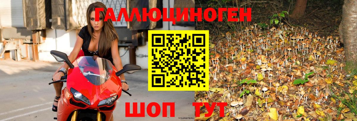 Псилоцибиновые грибы GOLDEN TEACHER  Галлюциногенные грибы Magic Shrooms  Вход с VPN  Усолье-Сибирское 