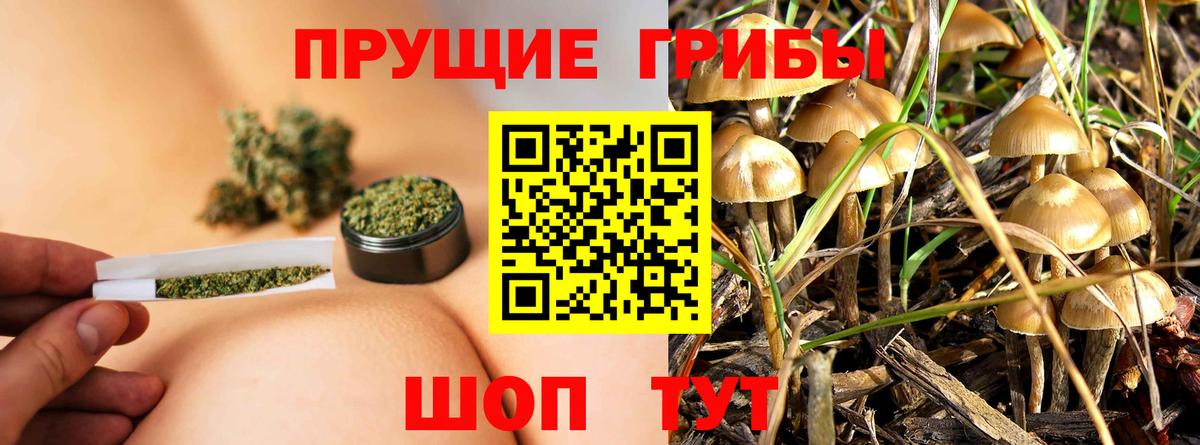Псилоцибиновые грибы мухоморы Усолье-Сибирское
